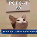 POPCAT มาแรง แซงทุกกระแส คนไทยไม่แพ้ชาติใดในโลก