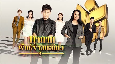 ทายาทพันธุ์ข้าวเหนียว 2022 ดูย้อนหลังทุกตอน ตอนแรก EP.1 ถึง ตอนจบ ช่องวัน31